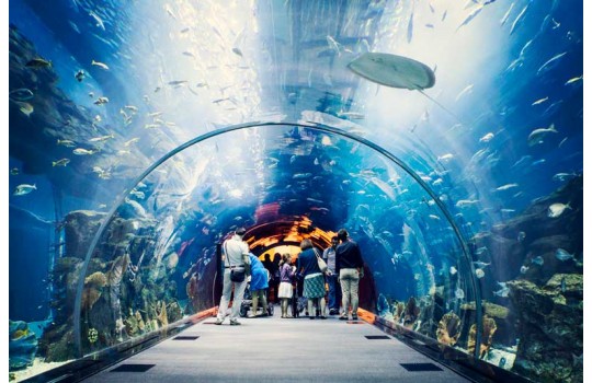 files-news-aquarium-dubai-5ade42bfb56955f75c11a3dba722353f.jpg