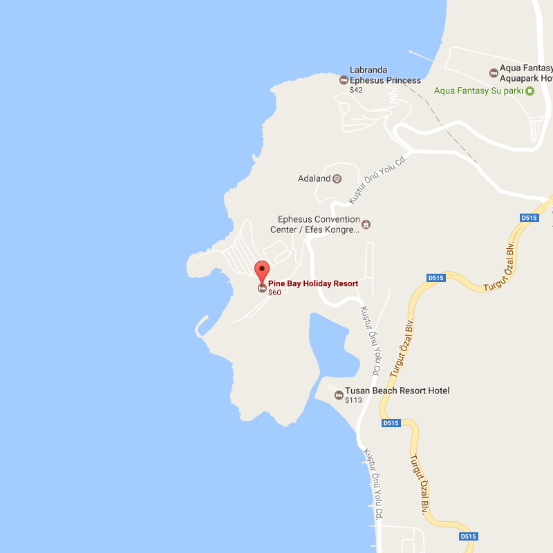 PINEBAY_MAP